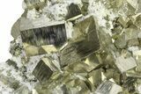 Spectacular Cubic Pyrite Crystals with Quartz - Peru #325627-2